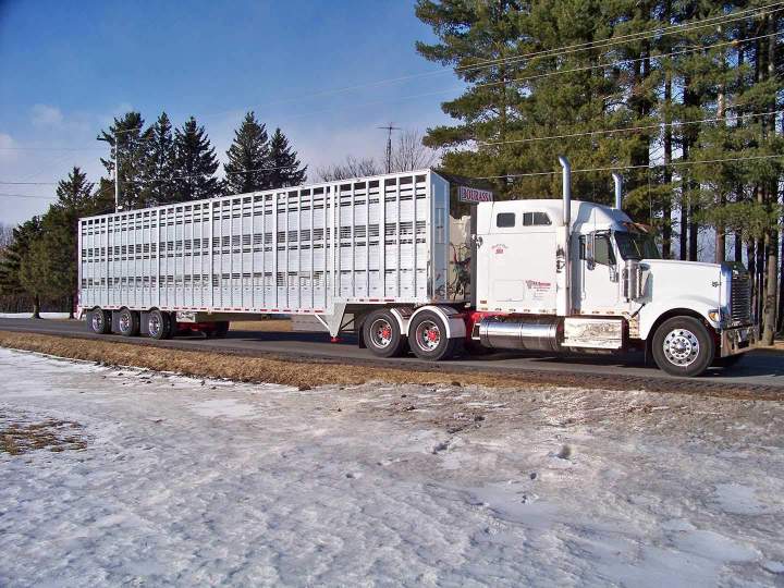 Semi-trailers for livestock transport Quebec